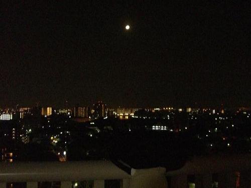 静かな月の夜を楽しむオレ